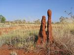 Australia Termite Mounds, Twin Towers - November, 2005