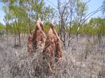 Australia Termite Mounds - November, 2005