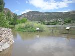 Colorado River Overflow at the Bair Ranch Rest Area by Roger J. Wendell on 06-08-2010