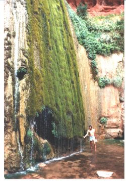 Roger J. Wendell at Ribbon Falls, Grand Canyon - August, 1992
