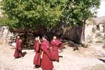 Young Tibetan Monks - June 20012001
