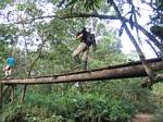 Bryan walks across a Rainforest bridge - Ecuador, January 2006