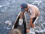 Bailing the Canoe - Amazonia, Ecuador, January 2006