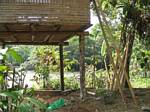 Amazonia Hut - Ecuador, January 2006