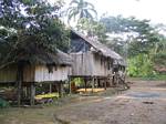 Amazonia Huts - Ecuador, January 2006