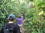 Hiking through the Rainforest - Ecuador, January 2006