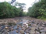 Rainforest River Rock - Amazonia, Ecuador, January 2006