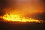 Plainview Fire Near Rocky Flats - January 11, 2006