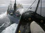 Sea Shepherd vessel M/Y Steve Irwin - February, 2009