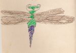 Dragonfly by Roger J. Wendell - circa 1964