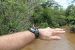 Iguazu Falls Argentina and Brazil by Roger J. Wendell - 02-05-2011