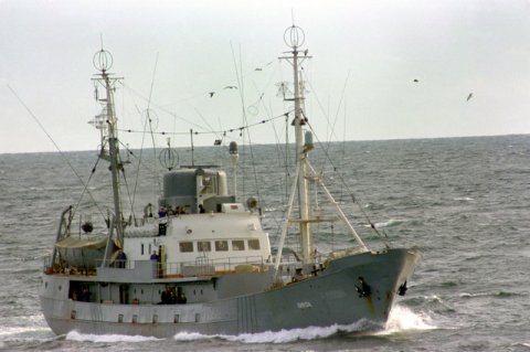 Soviet Okean class intelligence collection ship Linza by PH1 Jeff Hilton - 1986