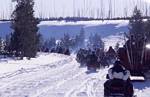 Snowmobiles in Yellowstone National Park
