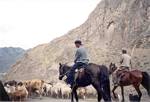 Uyghur Herdsmen - Xinjian Province, China - 2001