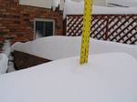24 Inches along Patio
