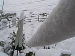 Snow tube on our telephone wire - 10-26-2006