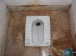 India toilet, Agra - 12-02-2008